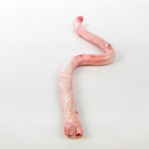 Frozen Bull Pizzle