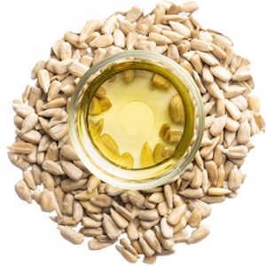 Oil Seeds